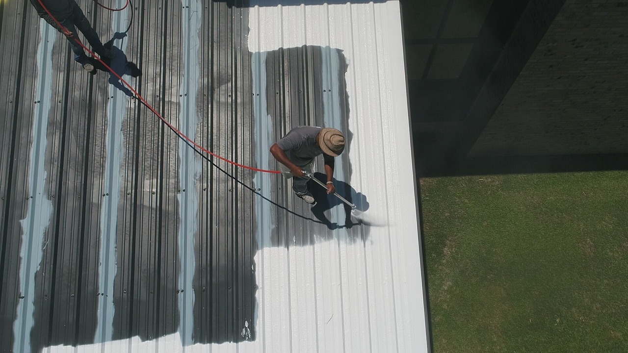 roof 